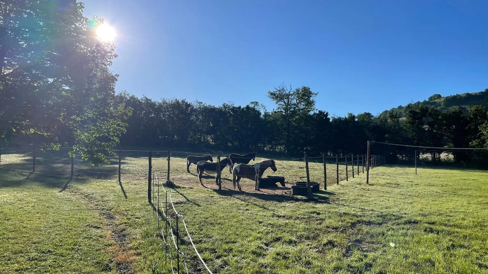 Lodge Camping Le Plo Aveyron Sévérac-le-Château Campingplads